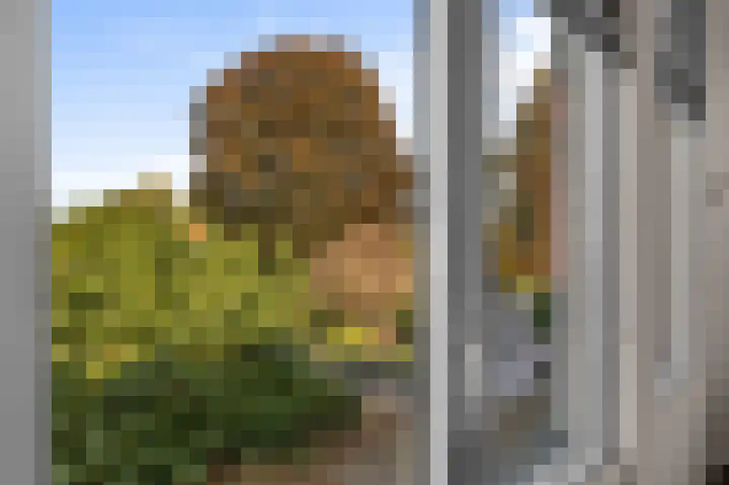 Laan van Hilbelink 11 30 Winterswijk thumbnail 6