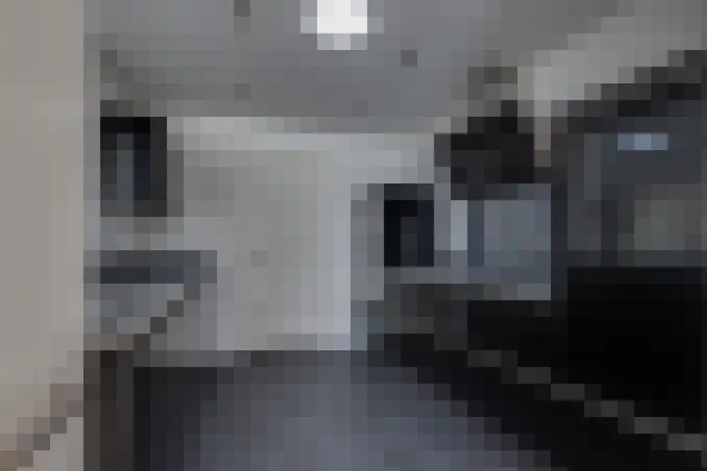 Laan van Hilbelink 3 Winterswijk thumbnail 12