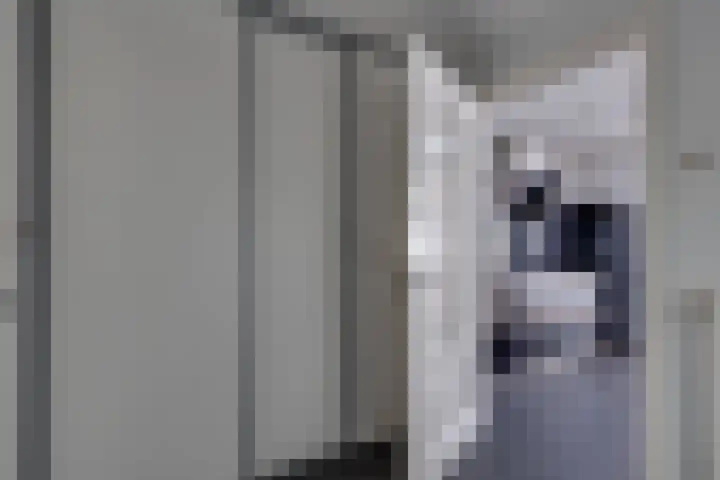Laan van Hilbelink 3 Winterswijk thumbnail 15