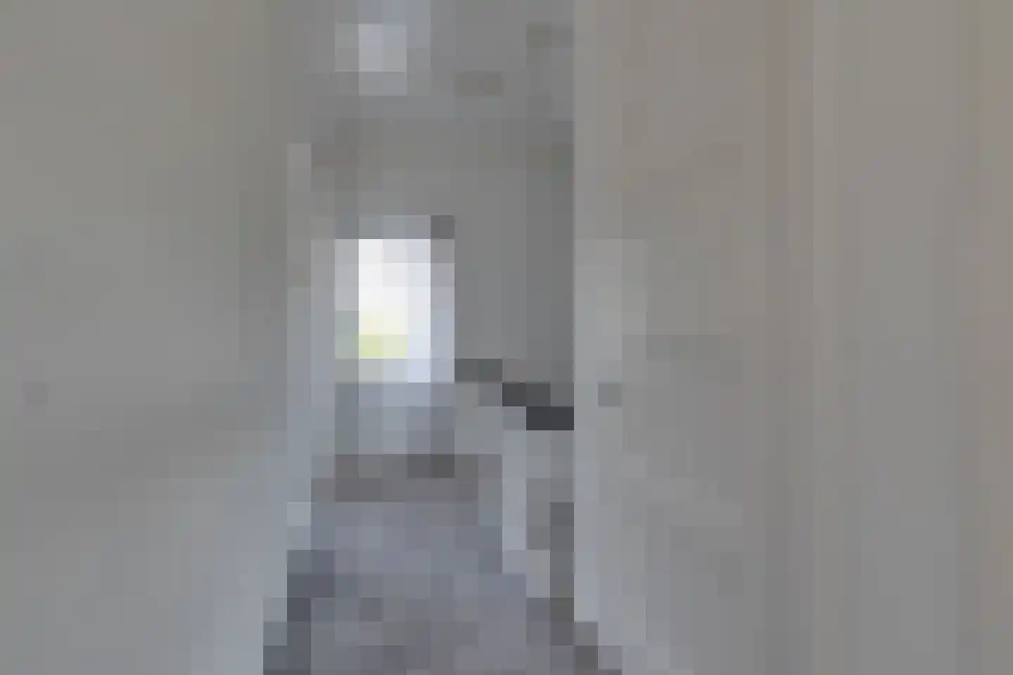 Laan van Hilbelink 3 Winterswijk thumbnail 25