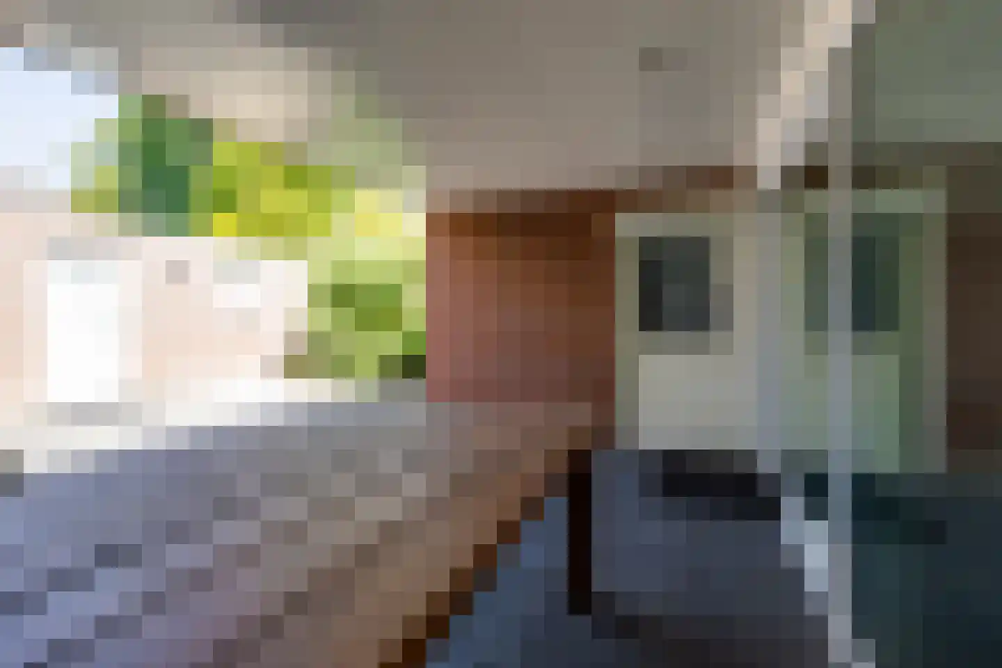 Laan van Hilbelink 3 Winterswijk thumbnail 38