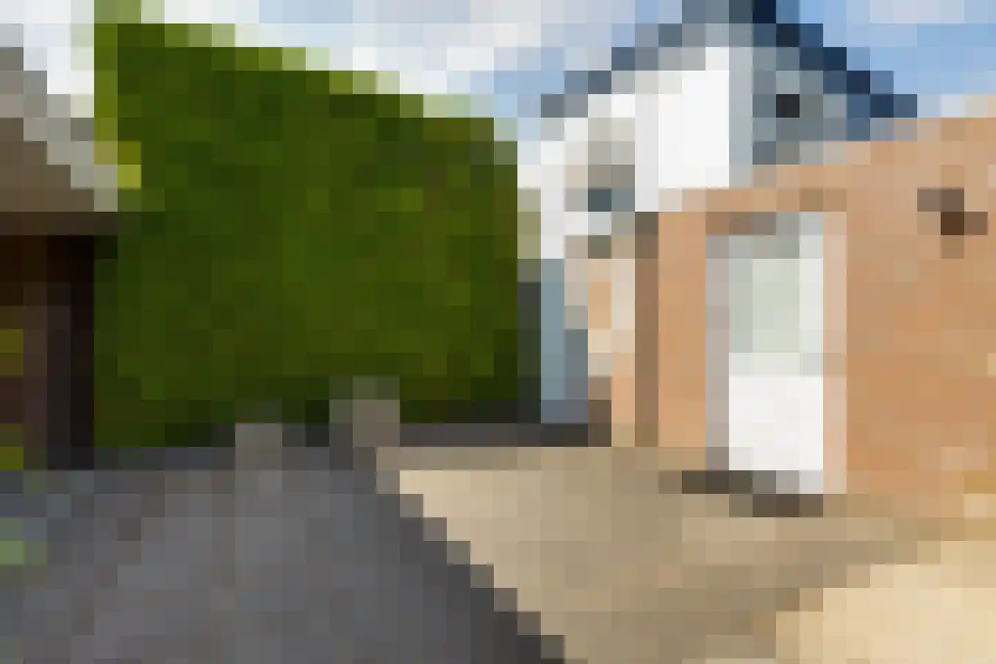 Laan van Hilbelink 3 Winterswijk thumbnail 39