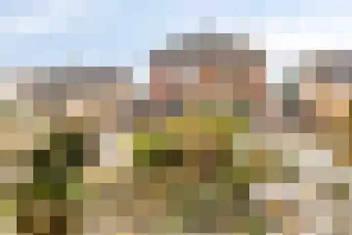 Laan van Hilbelink 57 Winterswijk thumbnail 10