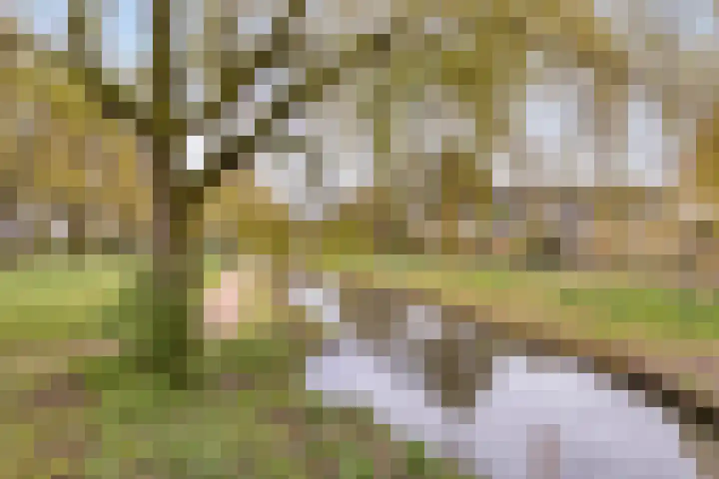 Laan van Hildernisse-Noord 12 Bergen op Zoom thumbnail 47