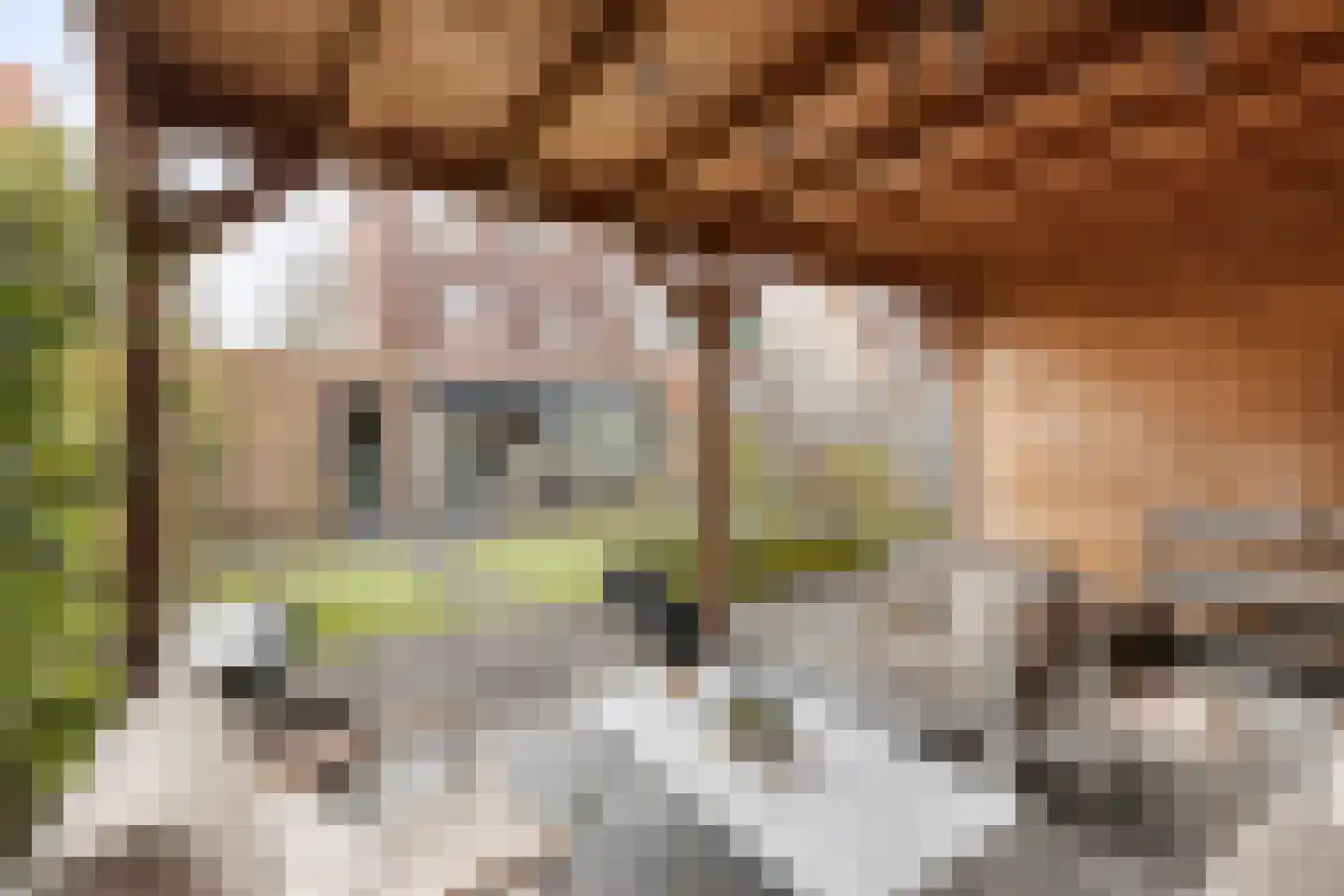 Laan van Hildernisse-Noord 12 Bergen op Zoom thumbnail 5