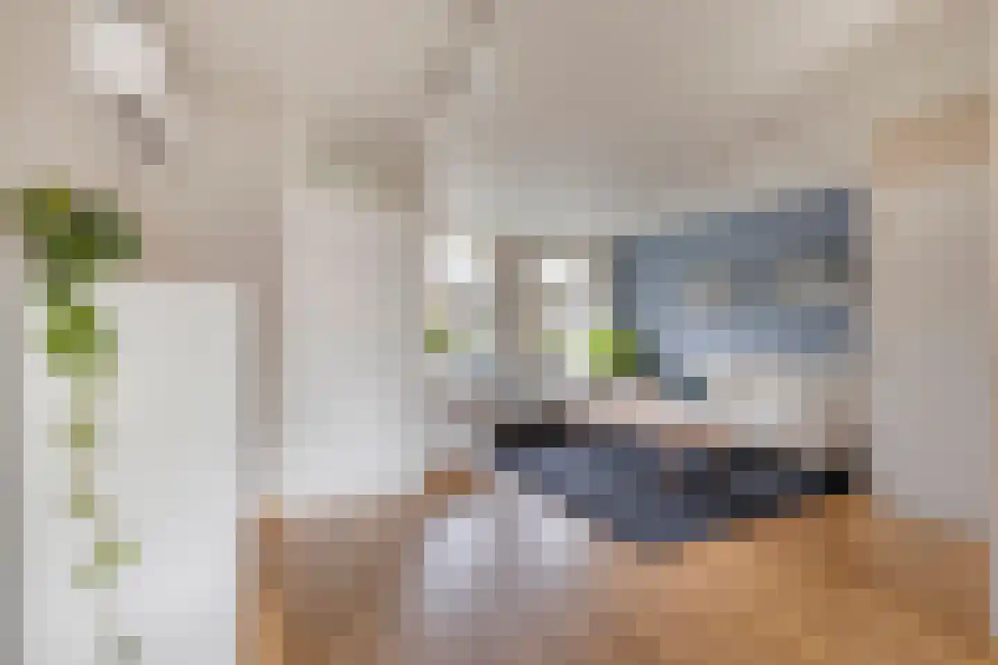 Laan van Hildernisse-Noord 12 Bergen op Zoom thumbnail 7