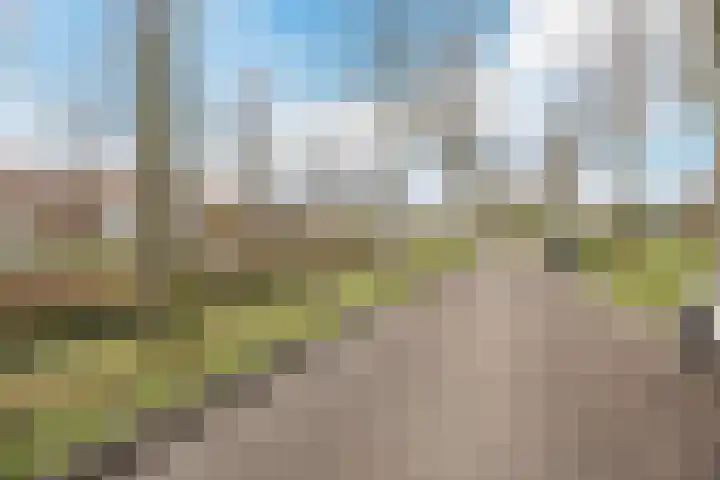 Laan van Hildernisse-Noord 94 Bergen op Zoom thumbnail 48