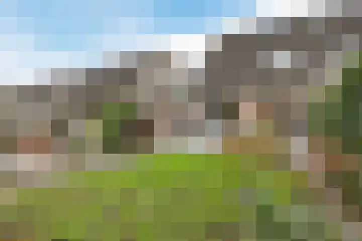 Laan van Hildernisse-Noord 94 Bergen op Zoom thumbnail 5
