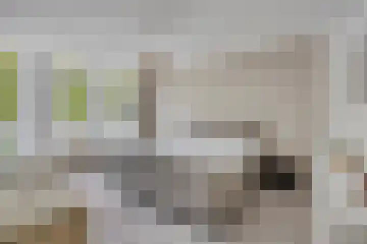 Laan van Hildernisse-Zuid 105 Bergen op Zoom thumbnail 11
