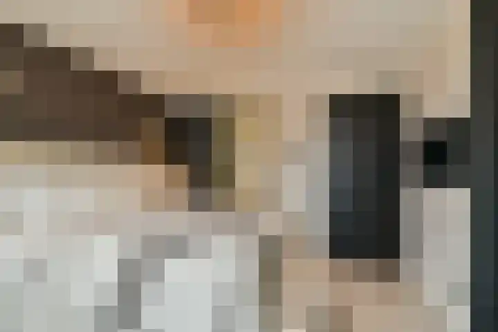 Laan van Hooglede 46 Vlaardingen thumbnail 28