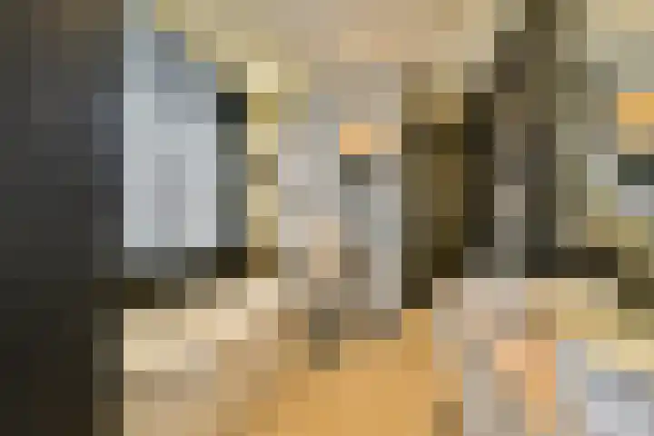 Laan van Hooglede 46 Vlaardingen thumbnail 30