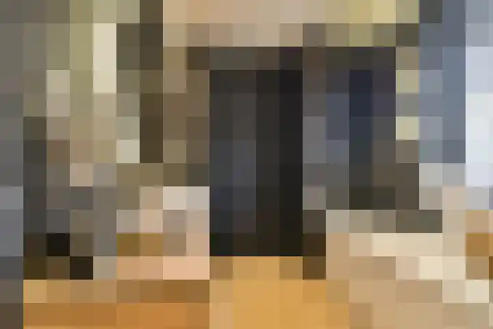 Laan van Hooglede 46 Vlaardingen thumbnail 31