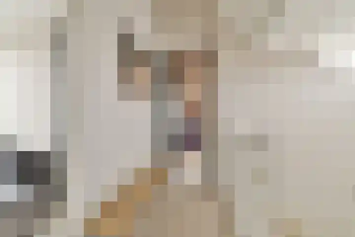 Laan van Hooglede 46 Vlaardingen thumbnail 37