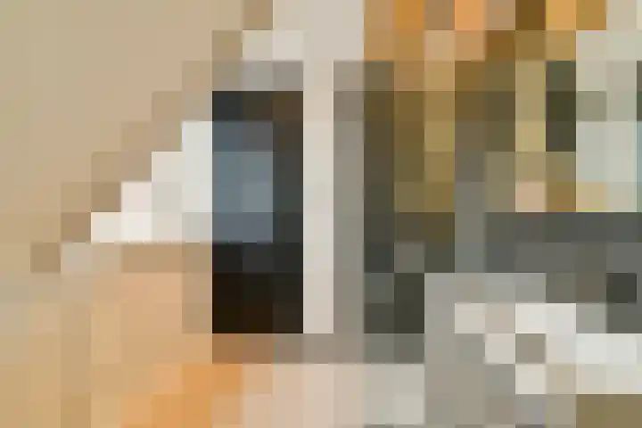 Laan van Hooglede 46 Vlaardingen thumbnail 42