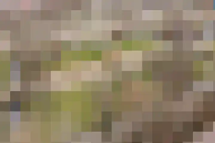 Laan van Hooglede 46 Vlaardingen thumbnail 47