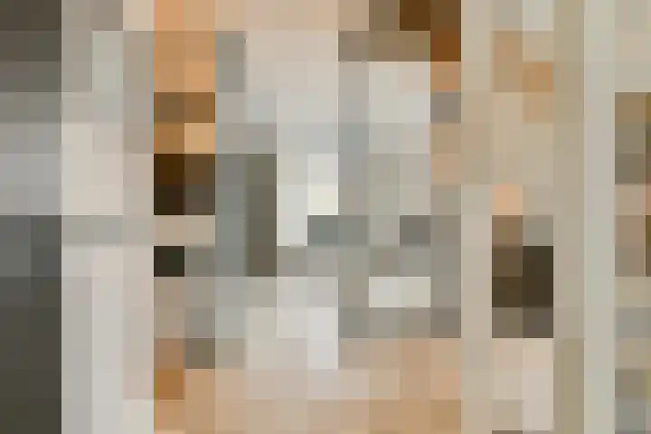 Laan van Hooglede 46 Vlaardingen thumbnail 7