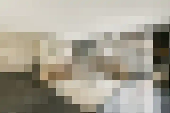 Laan van Hooglede 54 Vlaardingen thumbnail 12