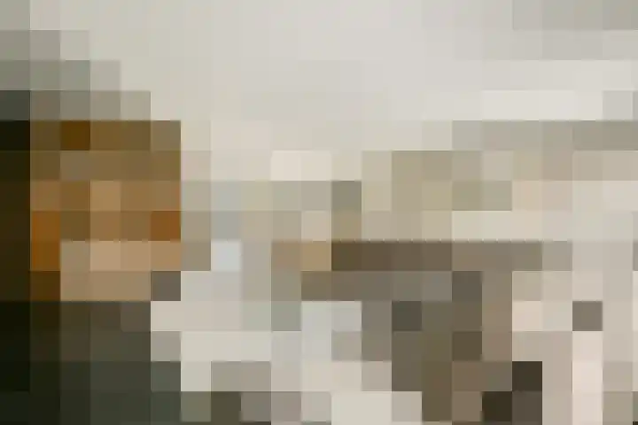 Laan van Hooglede 54 Vlaardingen thumbnail 13