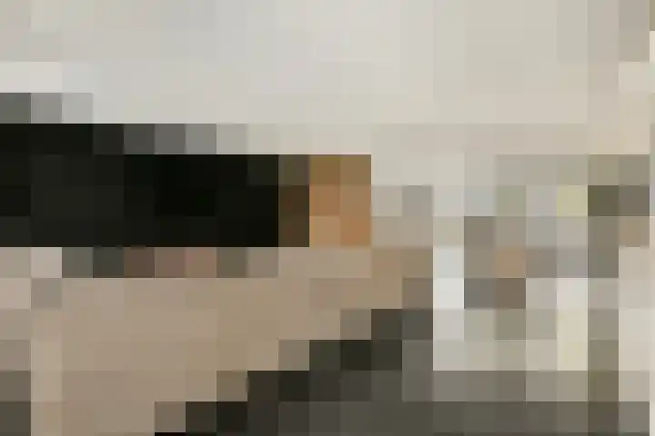 Laan van Hooglede 54 Vlaardingen thumbnail 14