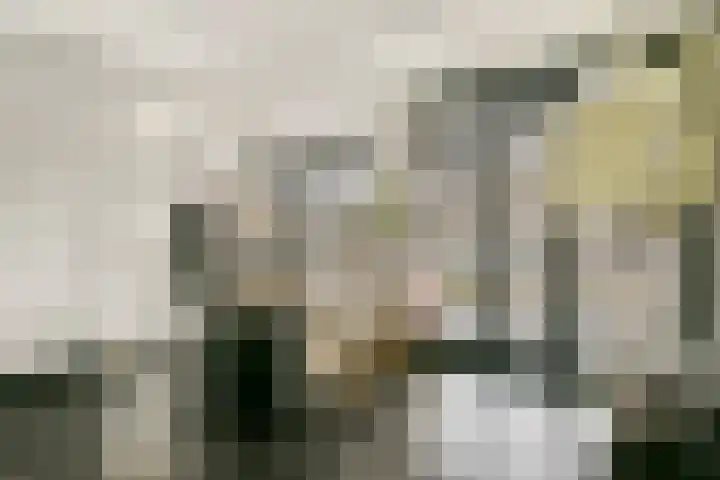 Laan van Hooglede 54 Vlaardingen thumbnail 15
