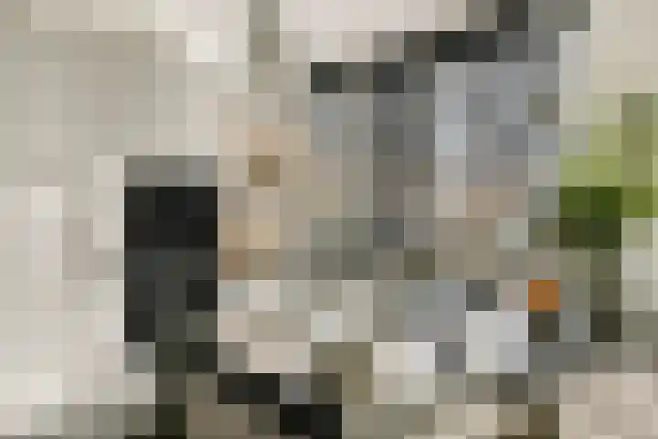 Laan van Hooglede 54 Vlaardingen thumbnail 16