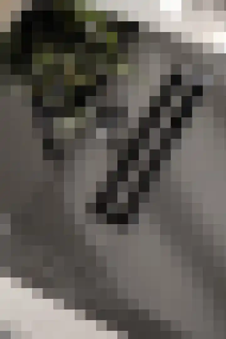 Laan van Hooglede 54 Vlaardingen thumbnail 18