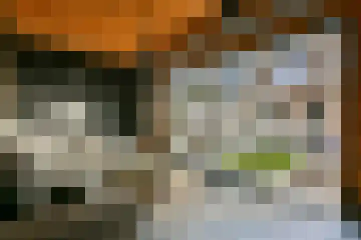 Laan van Hooglede 54 Vlaardingen thumbnail 20