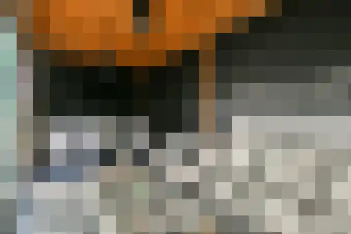 Laan van Hooglede 54 Vlaardingen thumbnail 21