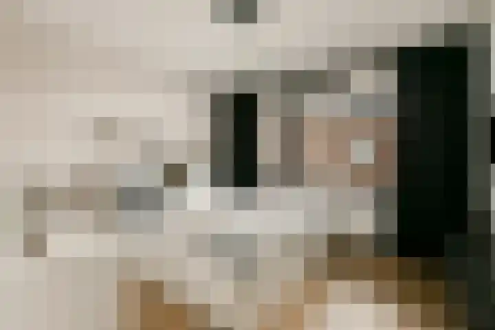Laan van Hooglede 54 Vlaardingen thumbnail 23