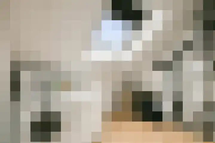 Laan van Hooglede 54 Vlaardingen thumbnail 40