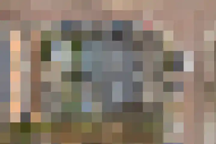 Laan van Hooglede 54 Vlaardingen thumbnail 41