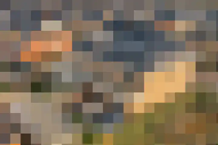 Laan van Hooglede 54 Vlaardingen thumbnail 42