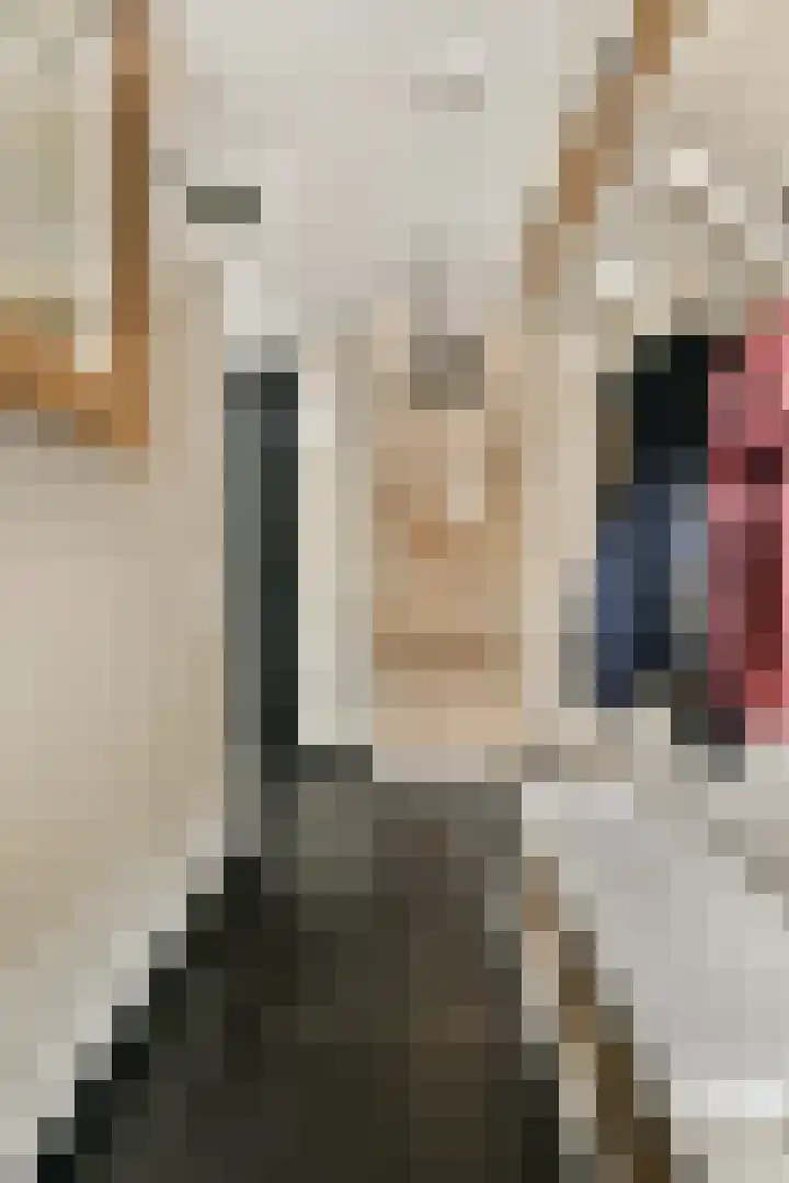 Laan van Hooglede 54 Vlaardingen thumbnail 7