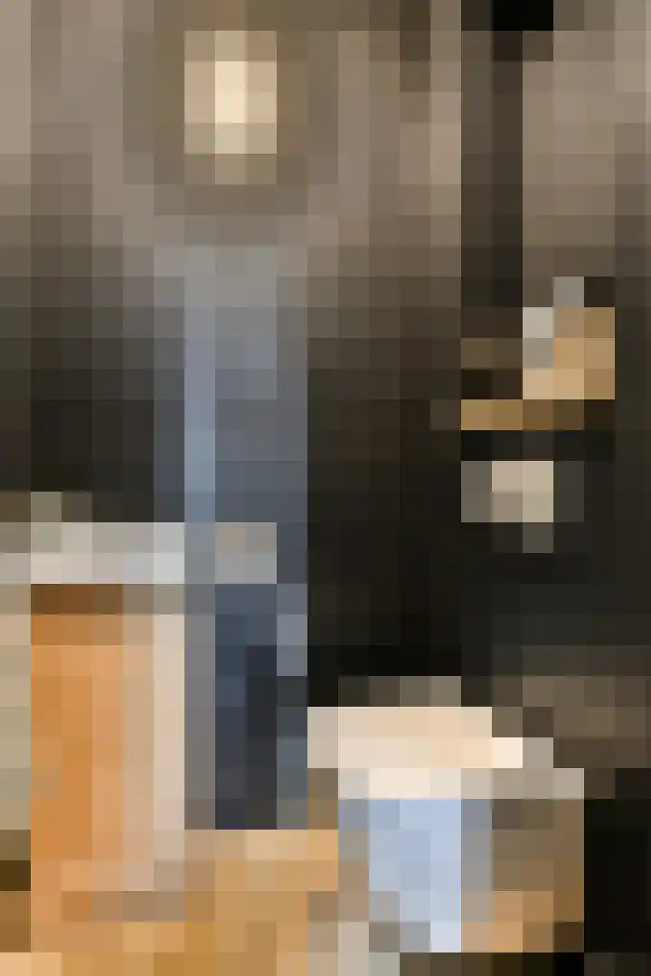 Laan van Hooglede 54 Vlaardingen thumbnail 8