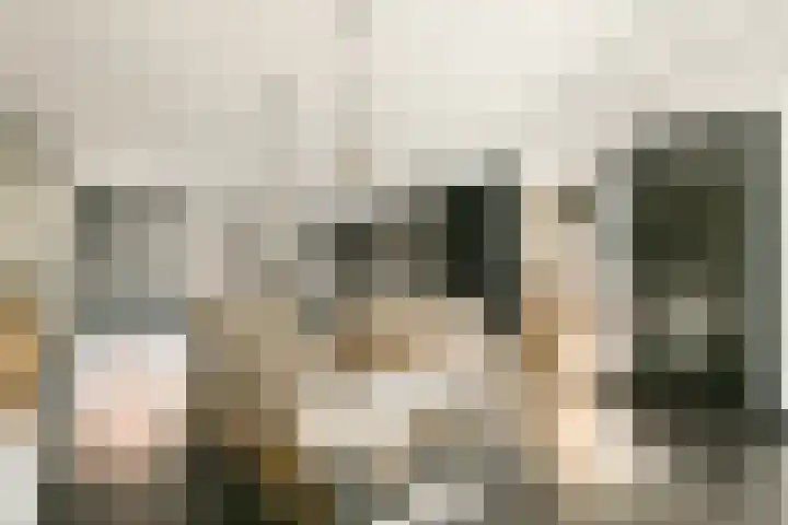 Laan van Hooglede 54 Vlaardingen thumbnail 9