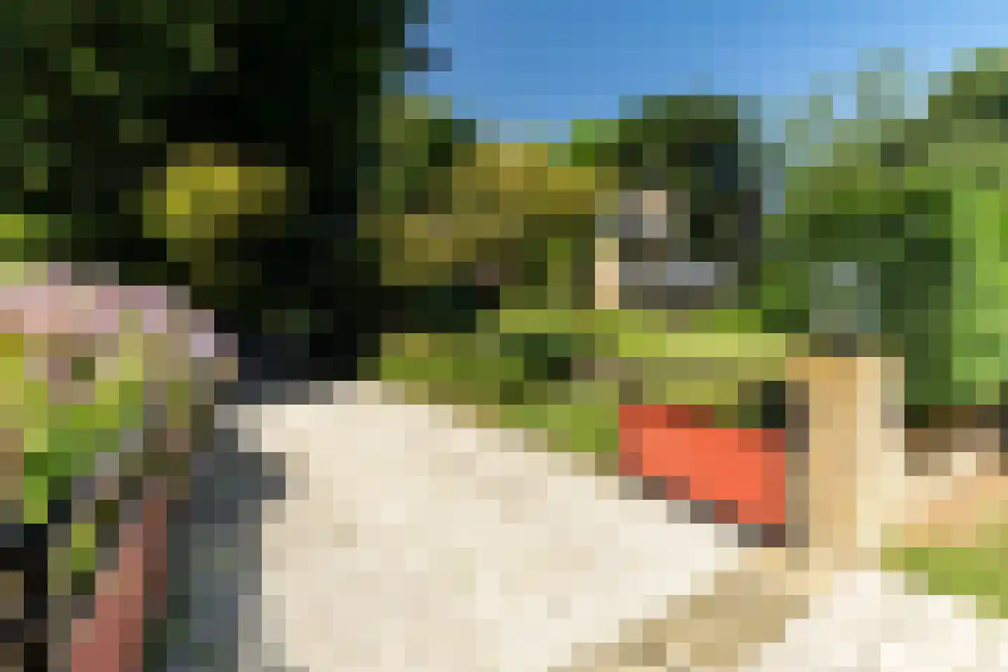 Laan van Hoogwolde 1 Wassenaar thumbnail 11