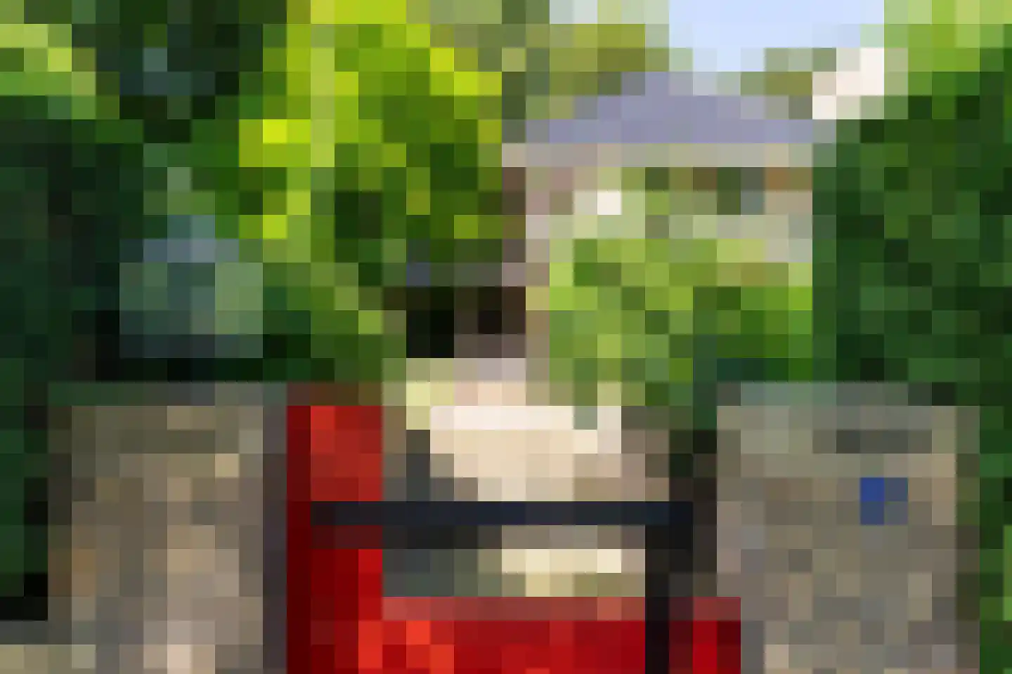 Laan van Hoogwolde 1 Wassenaar thumbnail 13