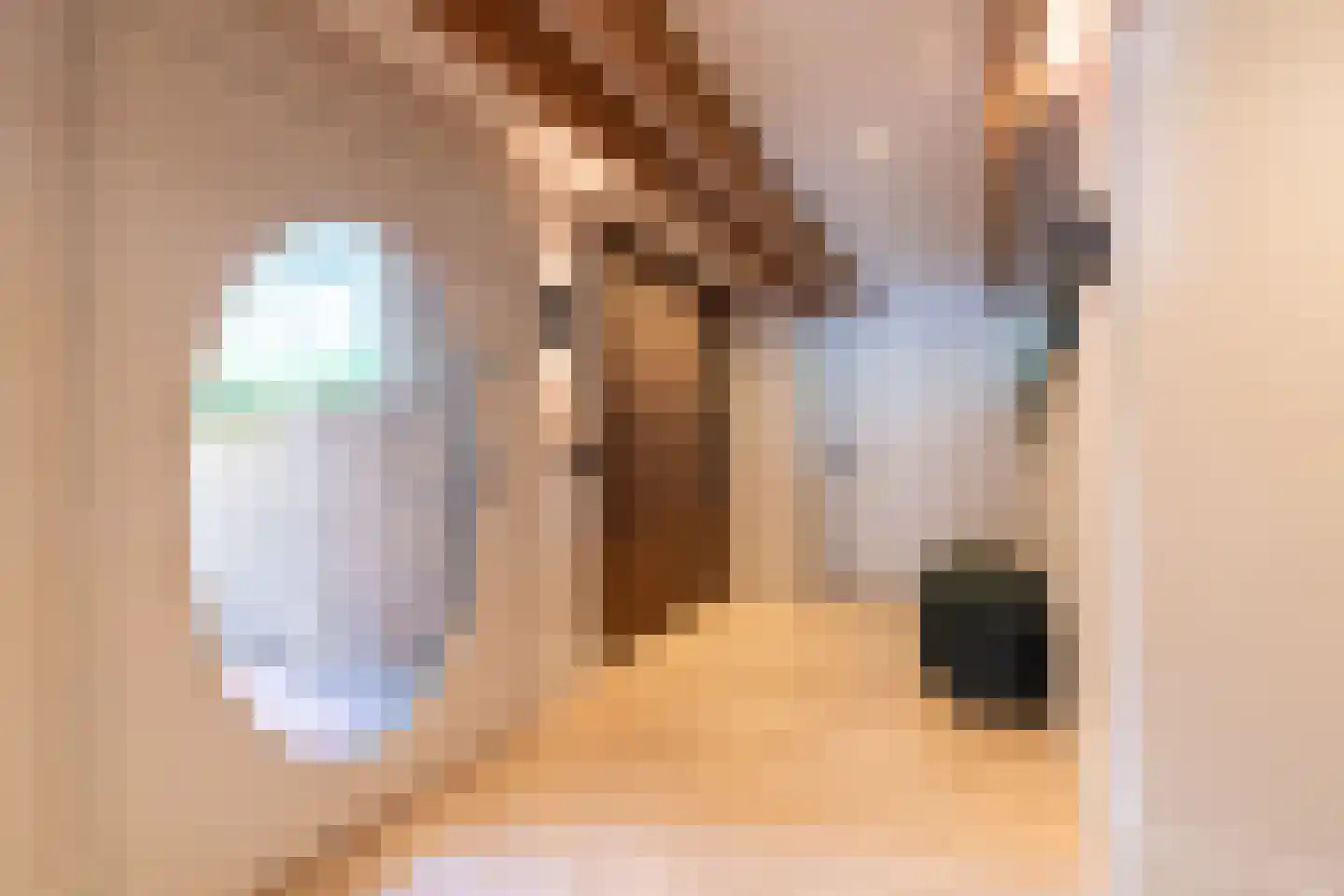 Laan van Hoogwolde 1 Wassenaar thumbnail 14
