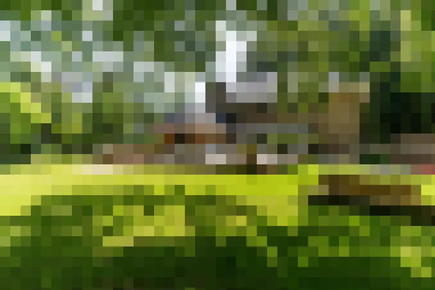 Laan van Hoogwolde 1 Wassenaar foto 2