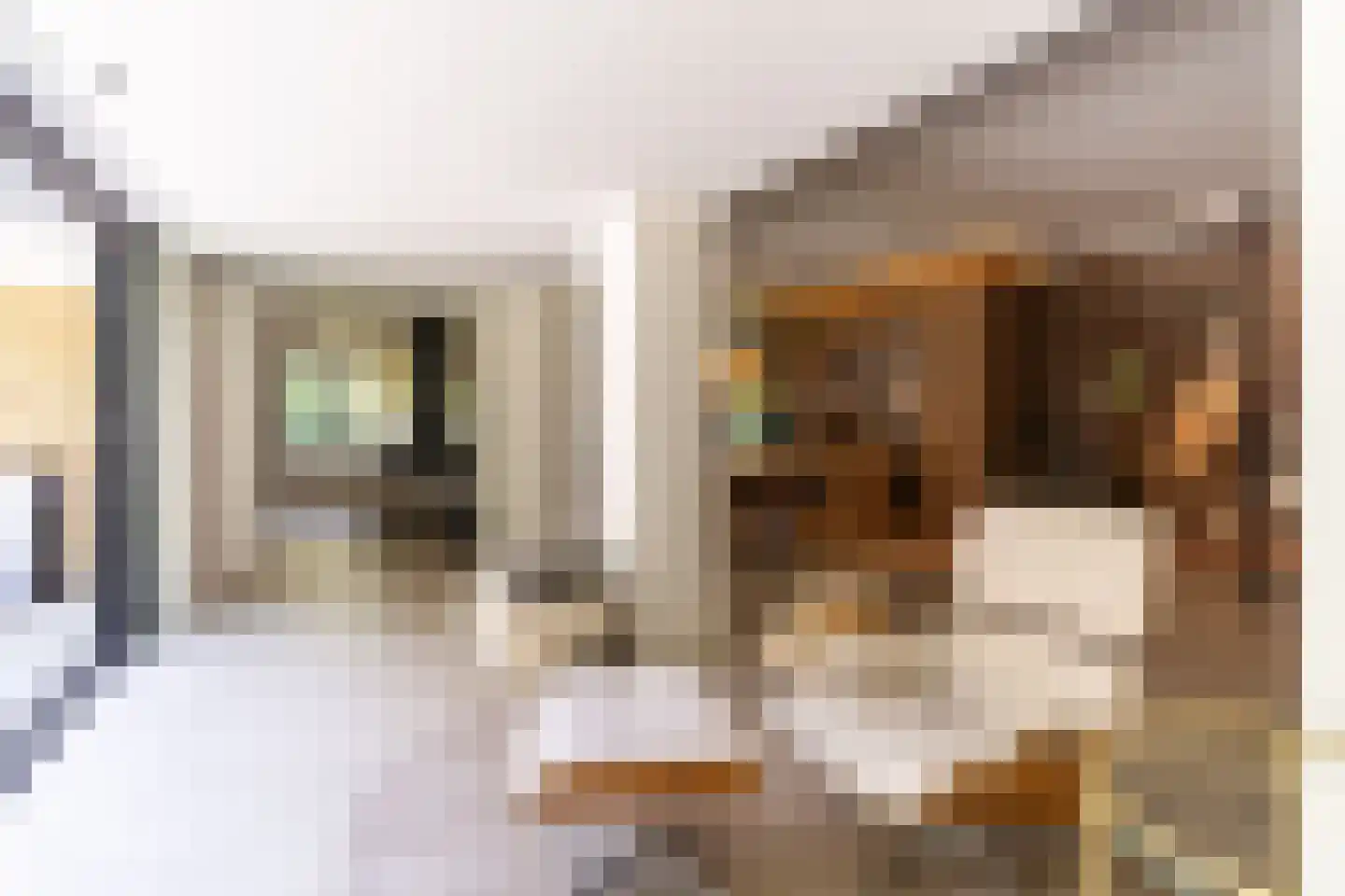 Laan van Hoogwolde 1 Wassenaar thumbnail 21