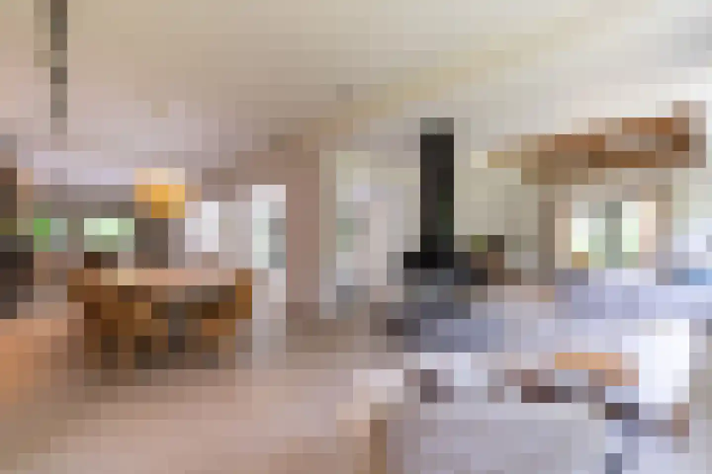 Laan van Hoogwolde 1 Wassenaar thumbnail 23