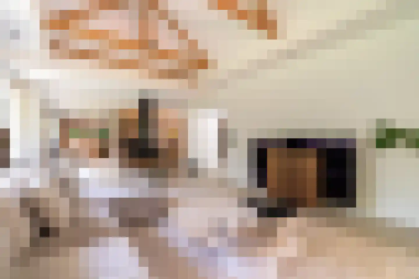 Laan van Hoogwolde 1 Wassenaar thumbnail 24
