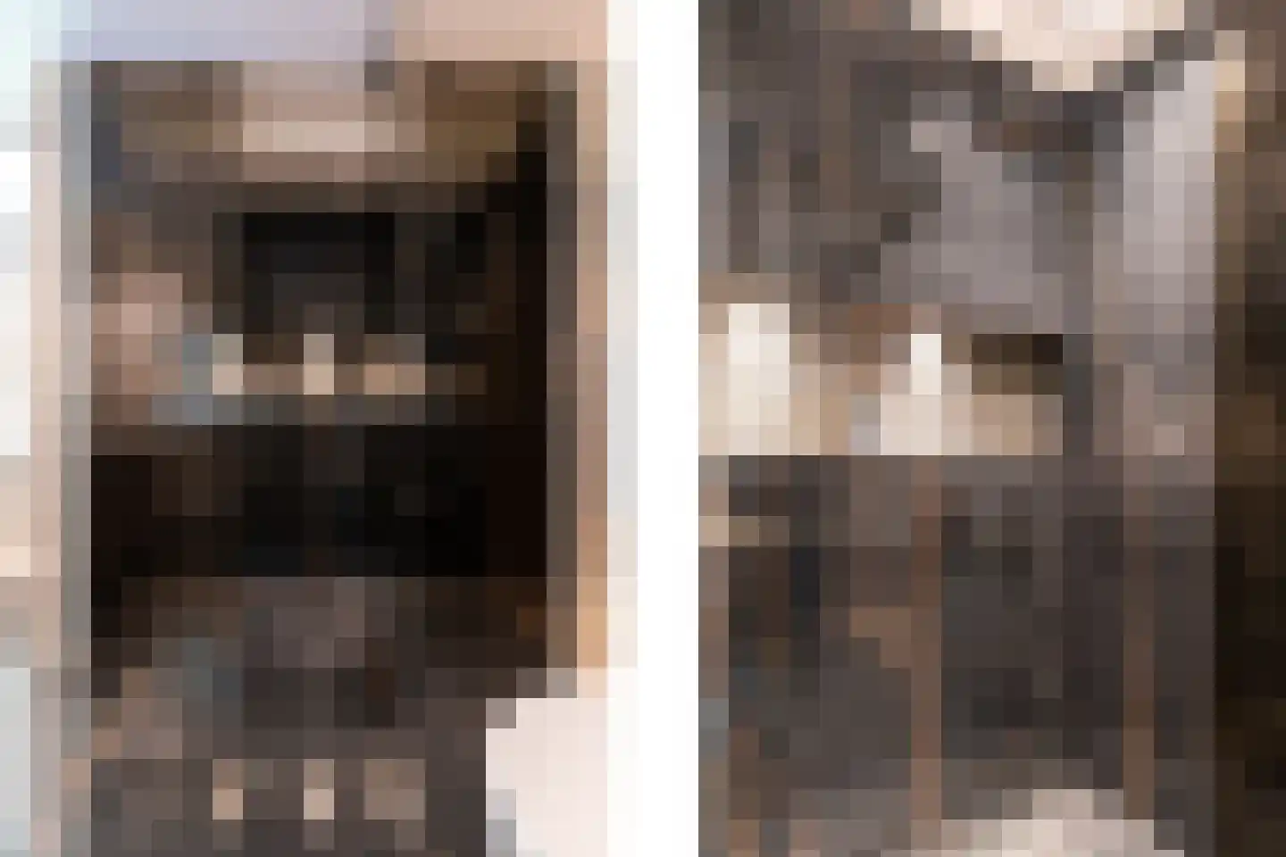 Laan van Hoogwolde 1 Wassenaar thumbnail 27