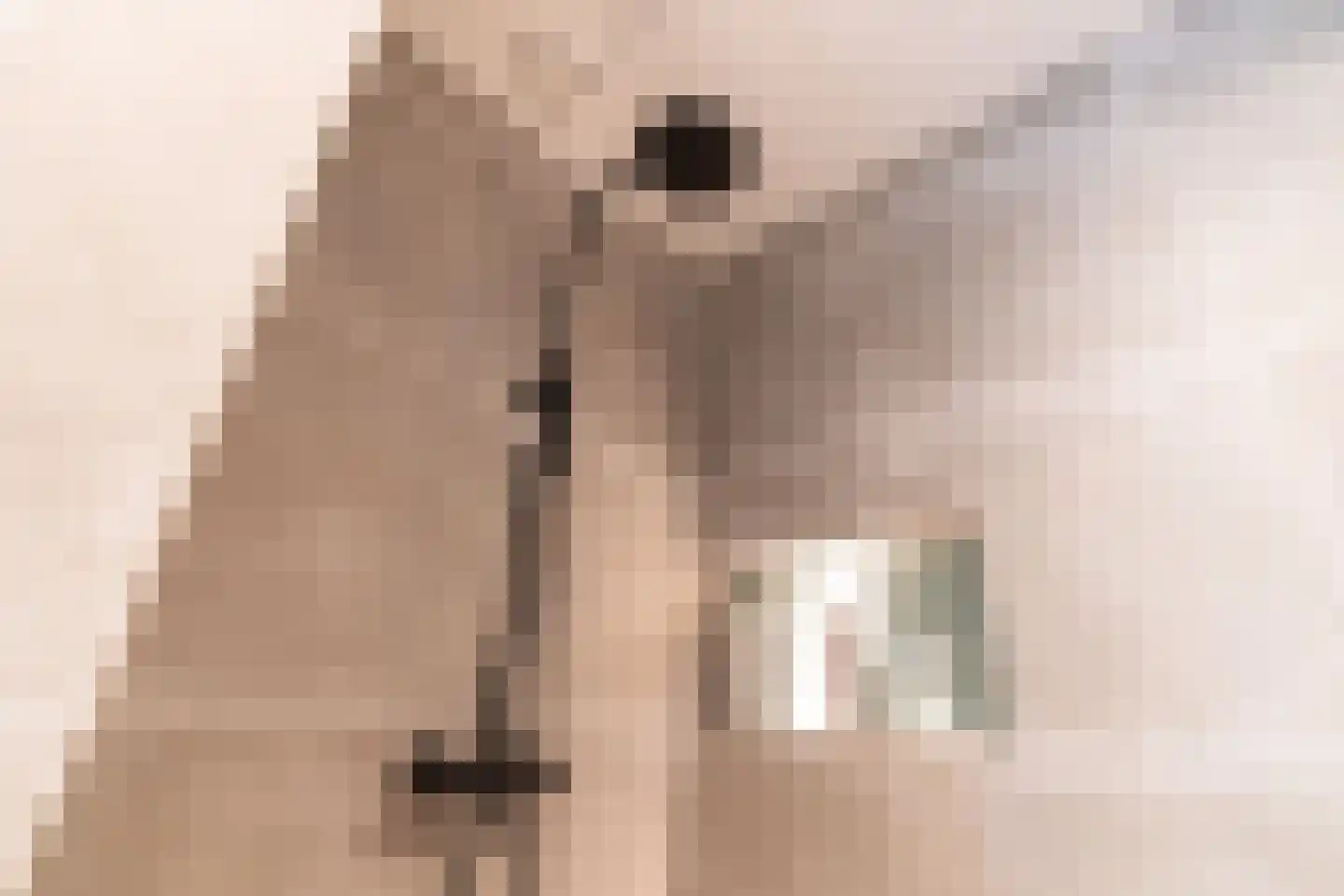 Laan van Hoogwolde 1 Wassenaar thumbnail 31