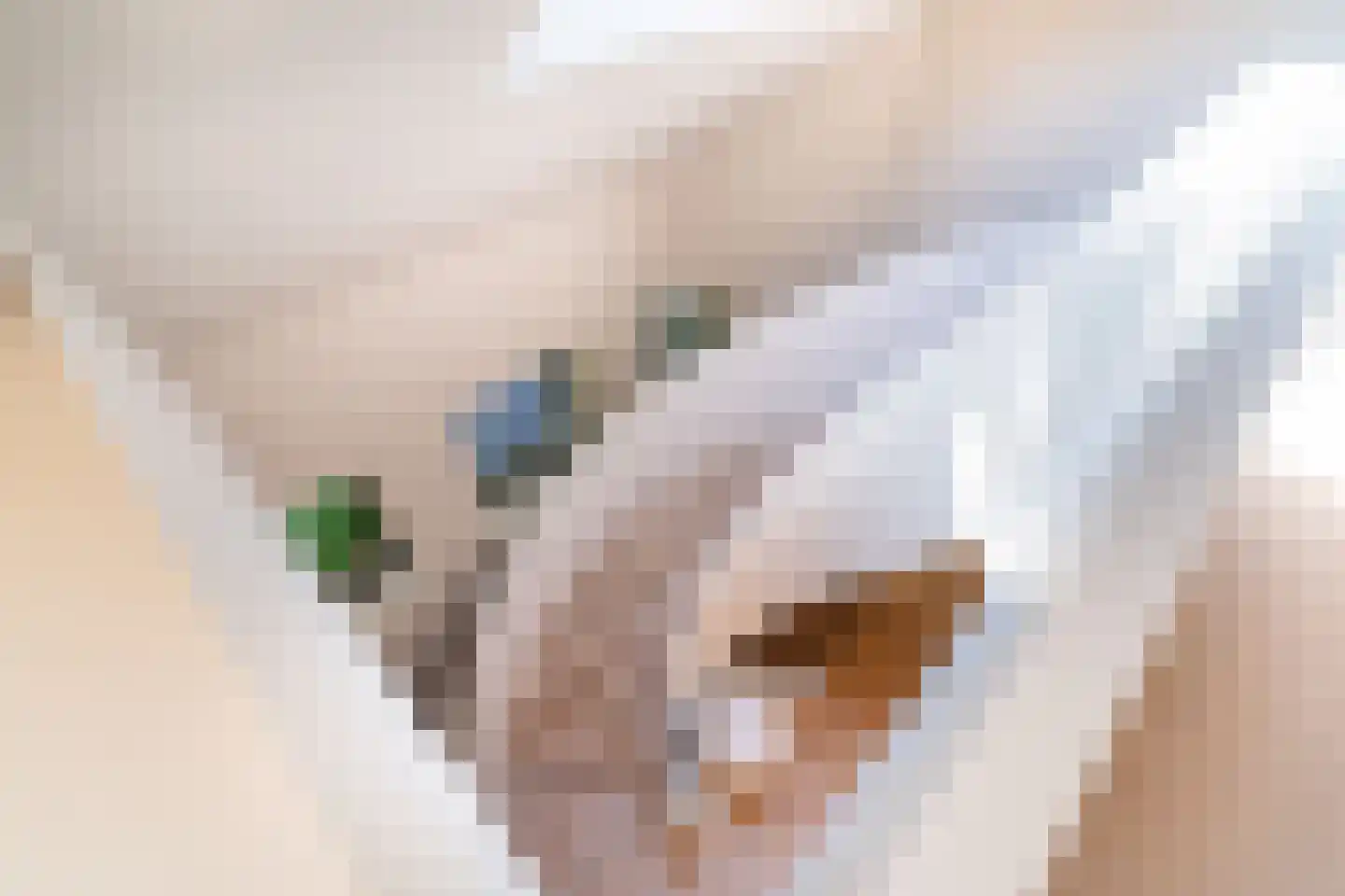 Laan van Hoogwolde 1 Wassenaar thumbnail 34