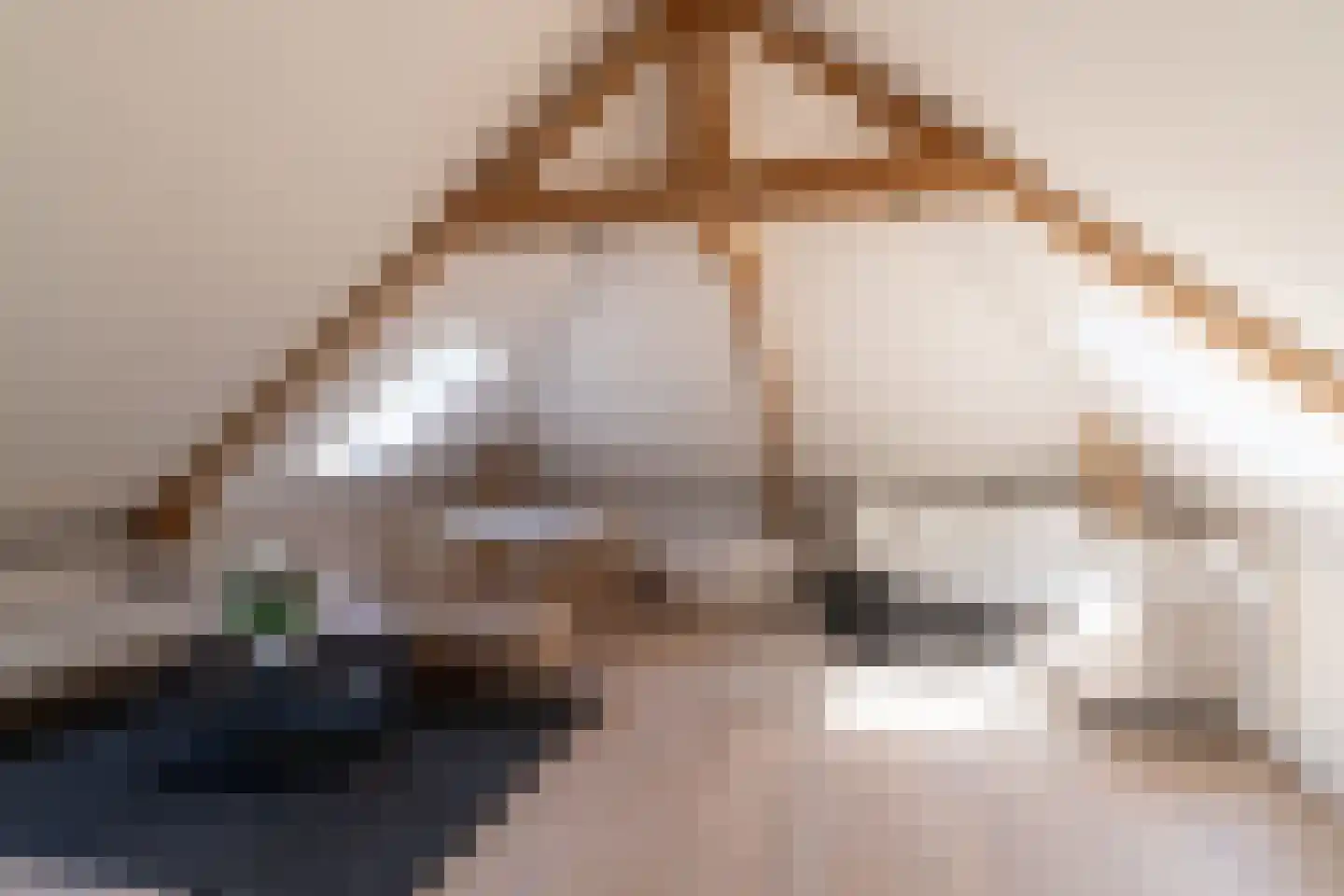 Laan van Hoogwolde 1 Wassenaar thumbnail 35