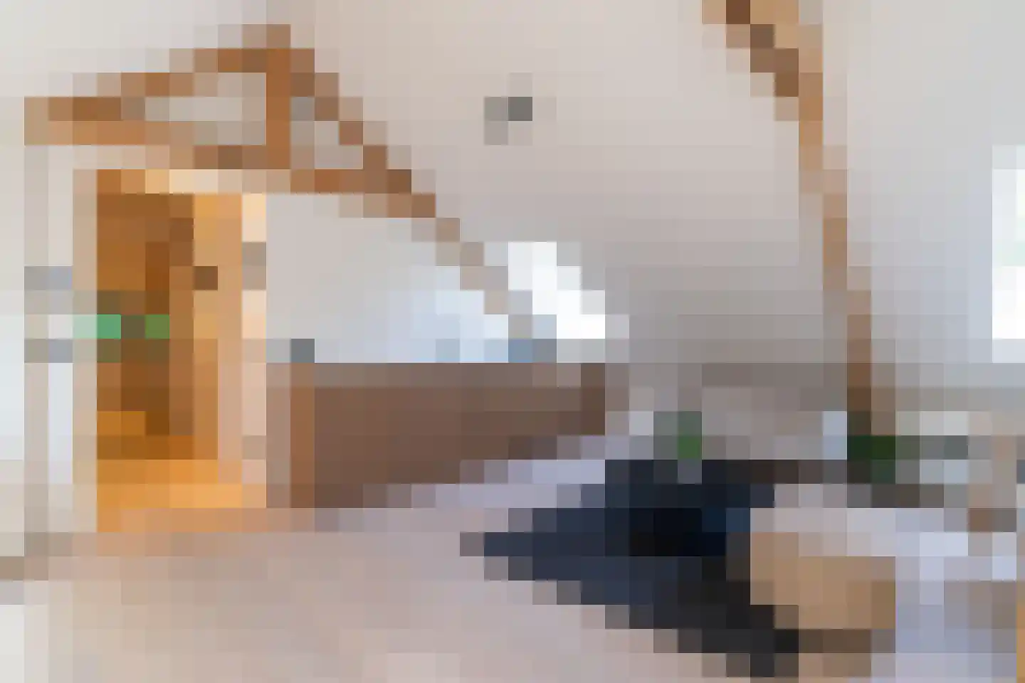 Laan van Hoogwolde 1 Wassenaar thumbnail 36