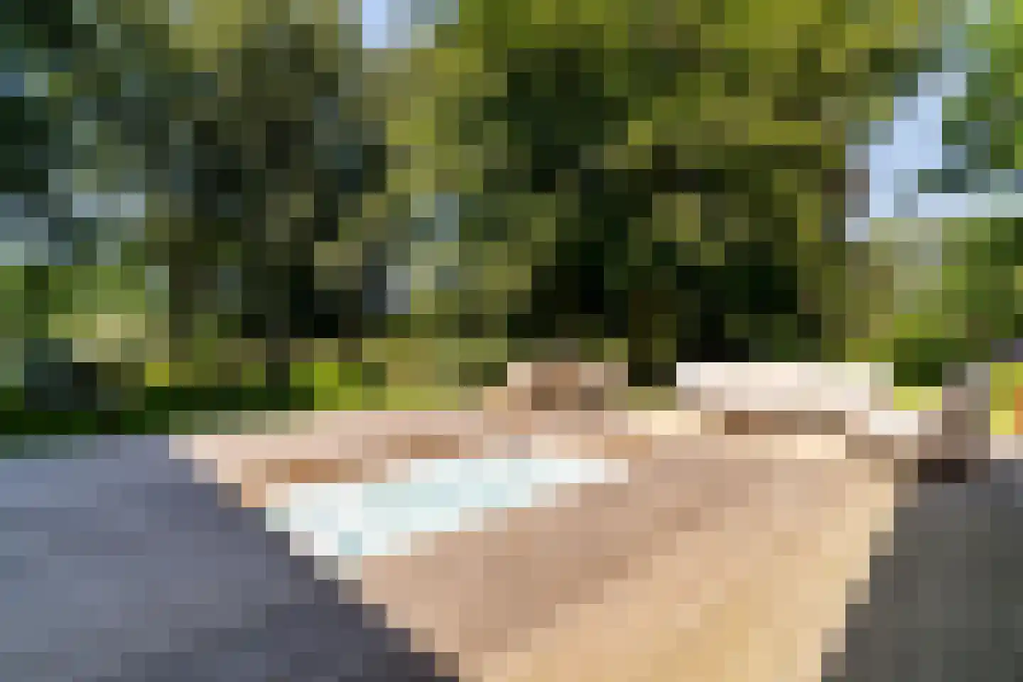 Laan van Hoogwolde 1 Wassenaar thumbnail 42