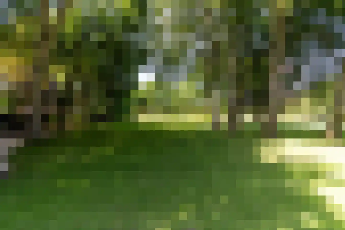 Laan van Hoogwolde 1 Wassenaar thumbnail 44