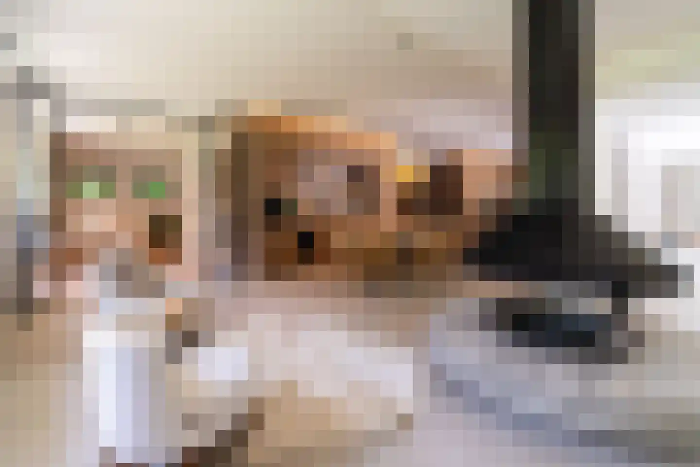 Laan van Hoogwolde 1 Wassenaar thumbnail 7